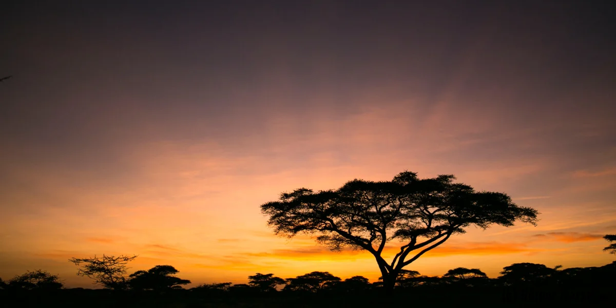 Grenzgang Reise-Reportage:  Grenzgang Reise-Reportage: