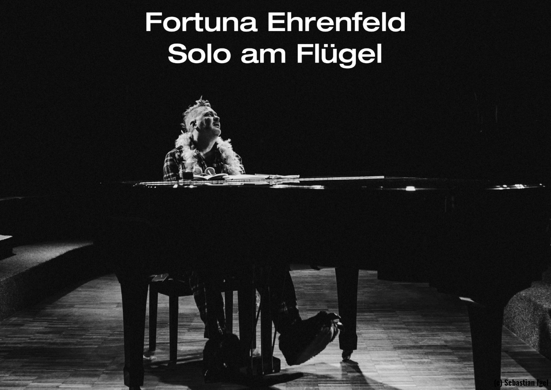 Fortuna Ehrenfeld