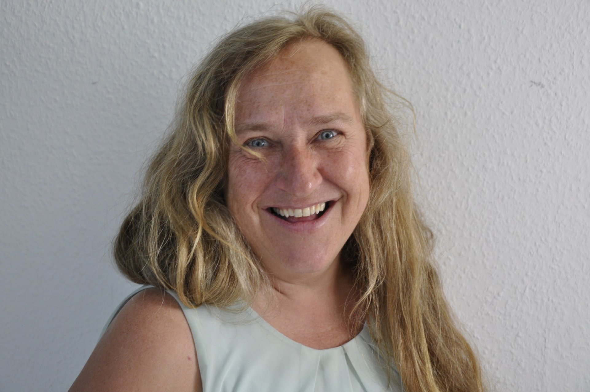 Phönix und das goldene Tal - Michaela Kreidler